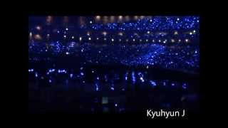 [FANCAM] 20130728 SS5 IN JAPAN TOKYO SAPHIRE OCEAN - AMAZING ELF (SUPER JUNIOR SUPER SHOW 5)