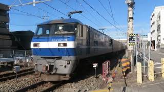 JR貨物 EF210-141号機（吹田）＋コキ23両　貨物列車62レ 2024.12.07