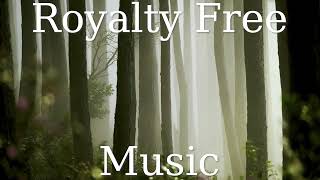 Royalty Free Music Happy Upbeat [Ambient Cinematic] Background Music For Videos No Copyright