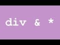 What are Universal and Type Selectors [CSS Tutorials for Beginners]