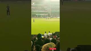 India vs New Zealand  Raipur  Chhattisgarh ka cricket 🏏... #cricket #chattisgarh #raipur
