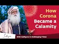 Who is Responsible for This Calamity? Corona Pandemic 🙏 With Sadhguru in Challenging Times - 09 Apr