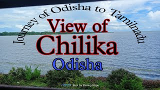 View of Chilika (odisha)// Chilika views/A fabulous Nature/Chilika videos/Train journey