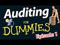 AUDITING DONE WRONG! (AUDITING FOR DUMMIES EPISODE 1)