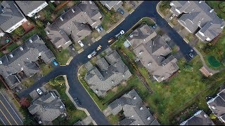 Urban Logging - Sky High Tree Removal