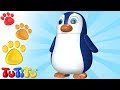 TuTiTu Animais 🌼🐧 Pinguim 🌻 Brincando e Aprendendo com Brinquedos 😍