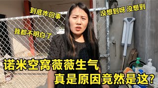 【姚三马】“杀人犬”诺米又空窝了，三嫂暴跳如雷一顿怒骂，二凯当场吓傻了