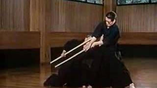 Shinto Muso ryu Jodo - Kiri kake kata