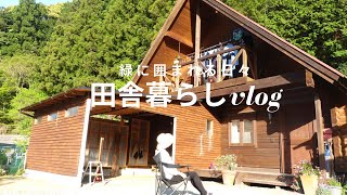 【ログハウス山の暮らしvlog】都会が苦手なアラフィフ女子の田舎暮らし｜素敵な景色と緑に囲まれる日々