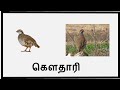 பறவைகளின் பெயர்கள் பறவைகள் birds names list of birds in tamil for kids bobo chutties