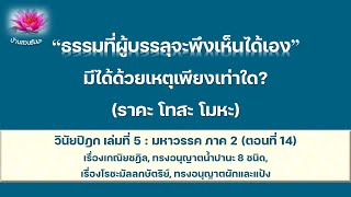 20 ธ.ค. 66 | ธรรมที่ผู้บรรลุ จะพึงเห็นได้เอง (ราคะ โทสะ โมหะ) | ภันเตโตโต้ : บ้านสวนธัมมะ