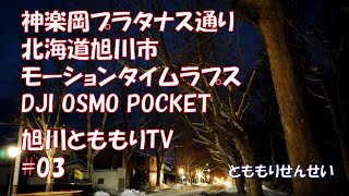 旭川の夜景_神楽岡プラタナス通り_タイムラプス-旭川とももりTV-【とももりせんせい】