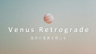 【金星逆行】自分の感性を信じてみよう｜インド占星術