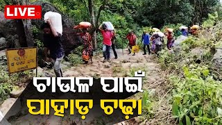 Live || ଚାଉଳ ପାଇଁ ପାହାଡ଼ ଚଢ଼ା || 28th Sept 2023 || Odisha TV || OTV