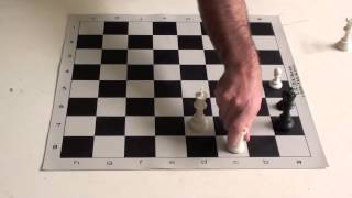 Chess Tutorial #16 Triangulation-Opposition