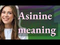 Asinine | meaning of Asinine