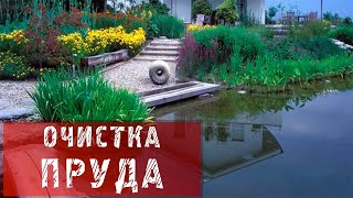 Пруд / Очистка воды в дачном пруду / Средства для очистки воды в пруду