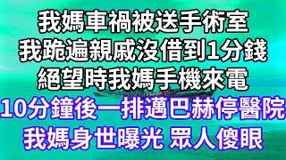 我媽車禍被送手術室！我跪遍親戚沒借到1分錢！絕望時我媽手機來電！10分鐘後一排邁巴赫停醫院！我媽身世曝光 眾人傻眼！#為人處世#幸福人生#為人處世 #生活經驗#情感故事#以房养老#唯美频道