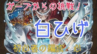 【トレクル】 ガープからの挑戦！ 白ひげ 心属性 ロジャー×ヤマト 初心者編成