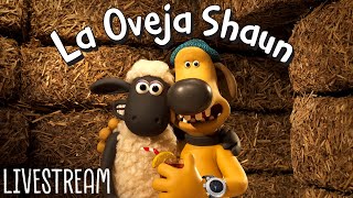 La Oveja Shaun LIVE STREAM