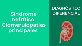 Diagnóstico Diferencial Síndrome nefrítico. Glomerulopatías principales