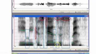 Step by step through a spectrogram