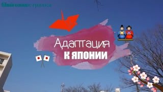 Адаптация к Японии