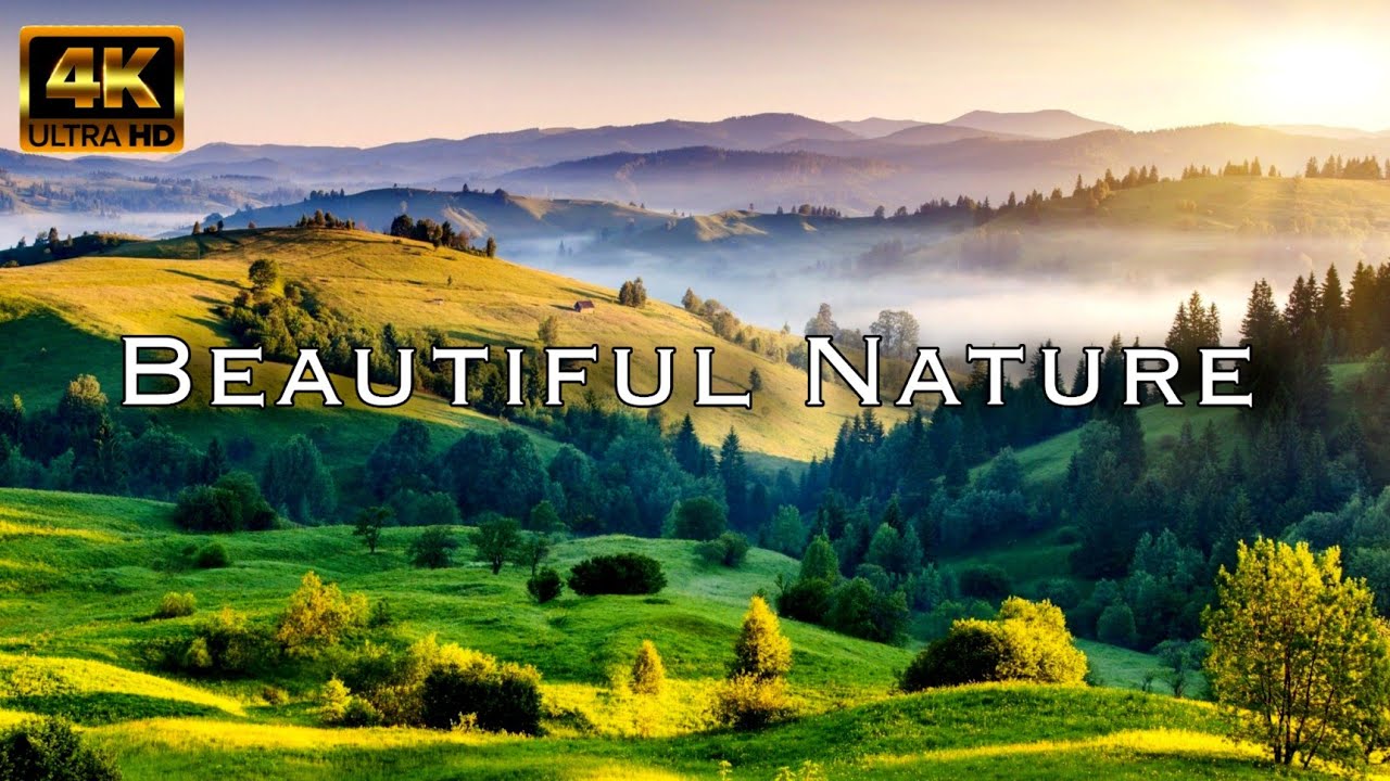 Amazing Beautiful Nature With Relaxing Music And Sound In 4k Best