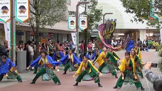 Team雅龍2019四日市よさこい祭り やったろ舞（ふれあいモール会場）