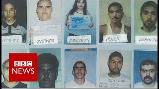 How US police line-ups jail the innocent - BBC News