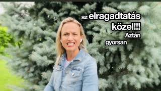 Látomás: Az Úr eljövetelének sürgető jelei és az elragadtatás közelsége.Augusztus 30. 2024