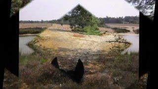 Paardrijden, buitenritten, dagtochten in de natuur met Horse Lovers Fun