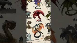 Types of dragon | costlyl | part 1 | #creature#shorts  @MrBeast