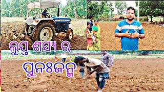 ମାଣ୍ଡିଆ ଓ cbd plot ମହତ୍ୱ llଆସନ୍ତୁ ଦେଖିବା ଗାଁ ରେ ହଜିଯାଇଥିବା ସସ୍ୟ ର ପୁନଃ ଜନନ୍ କିପରି ହେଉଛି ଆମ ଗାଁ ରେ ll