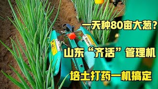 一天种80亩大葱？山东大叔发明“齐活”管理机，培土打药一机搞定