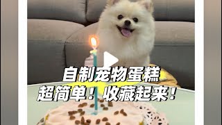 自制宠物生日蛋糕！超简单！收藏起来！小博美1⃣️岁生日！