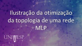 Redes Neurais - Ilustração da otimização da topologia de uma rede MLP