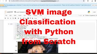 Image Binary Classification SVM Scratch Python Code / SVM Scratch Python Code #SVM #python