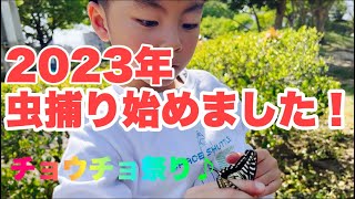 【虫捕り日記23】虫捕り始動！今回はアゲハ蝶捕獲にチャレンジ！！