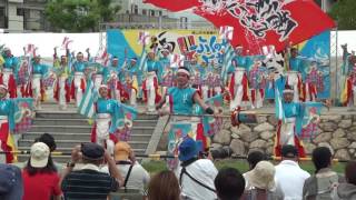 ふくのやまよさこい2016　備後ばらバラよさこい踊り隊（中央公園会場）