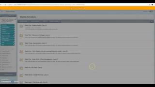Student Preview Button in Blackboard