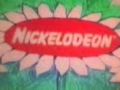 nickelodeon bumper bees.