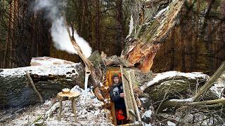 Building a cozy bushcraft shelter inside a fallen tree for survival