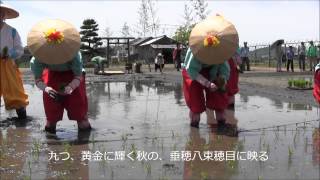 太郎坊宮・お田植大祭fullver