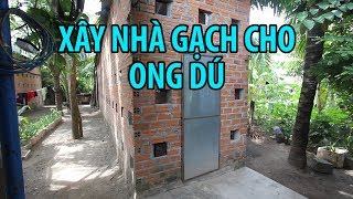 KỲ LẠ Người xây nhà NUÔI ONG DÚ kiếm thu nhập KHỦNG