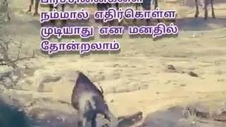 வாழ்க்கையில் பிரச்சினையா #தொழிலில் |நஷ்டமா இத பாருங்க |Best #Motivational video