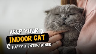 Tips To Keep Your Indoor Cat Happy | Don't Miss these Tips, Be A Proud Pet Parent 😺