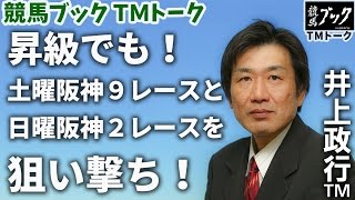 【競馬ブック】井上政行ＴＭの推奨馬（土曜阪神9R野分特別、日曜阪神2R　2015年9月12日、13日）