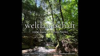 weltlandschaft ~ Steven Naylor (full album)