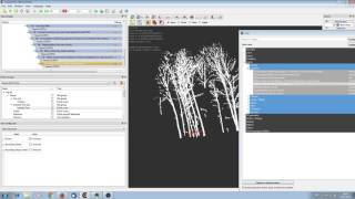 Plot Processing Step 4 Preparing the tree clouds